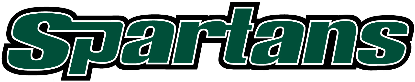 USC Upstate Spartans 2003-2010 Wordmark Logo iron on transfers for T-shirts